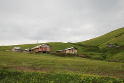 dsc_0026.jpg