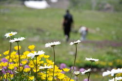 dsc_0055.jpg