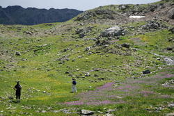 dsc_0058.jpg
