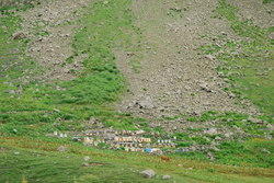 dsc_0096.jpg
