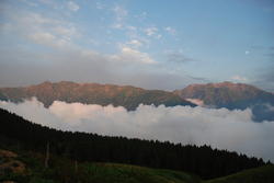 dsc_0113.jpg