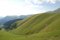 dsc_0298.jpg