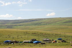 dsc_0300.jpg