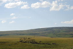 dsc_0301.jpg