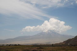 dsc_0528.jpg