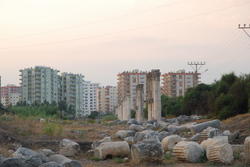dsc_0860b.jpg