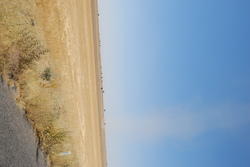 dsc_0907.jpg
