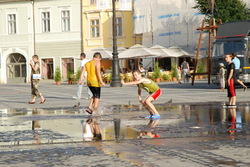 dsc_0997.jpg