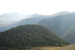 DSC_0011.JPG