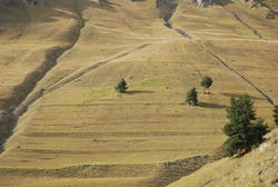 DSC_0033.JPG