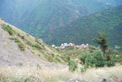 DSC_0040.JPG