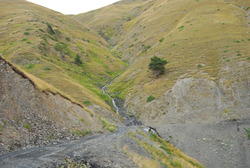 DSC_0056.JPG
