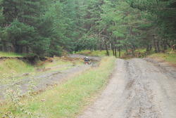 DSC_0065.JPG