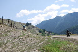 DSC_0153.JPG