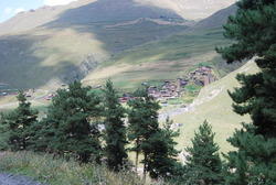 DSC_0427.JPG