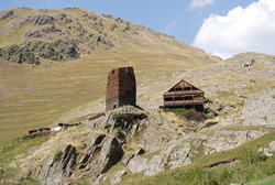 DSC_0555.JPG