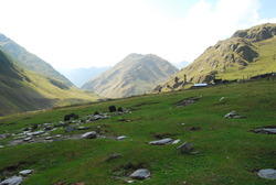 DSC_0600.JPG