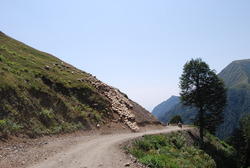 DSC_0802.JPG